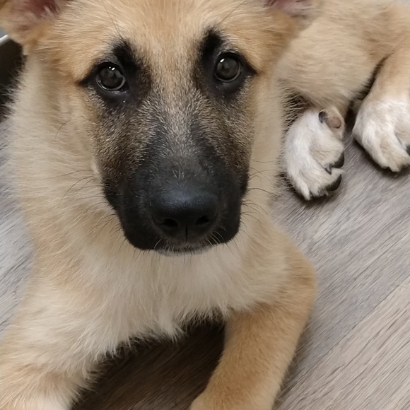 Meet your Posher, Rosemarie - Picture 1 of 1